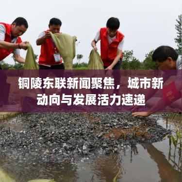 銅陵?yáng)|聯(lián)新聞聚焦，城市新動(dòng)向與發(fā)展活力速遞