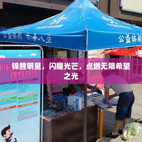 錦鯉明星，閃耀光芒，點燃無限希望之光