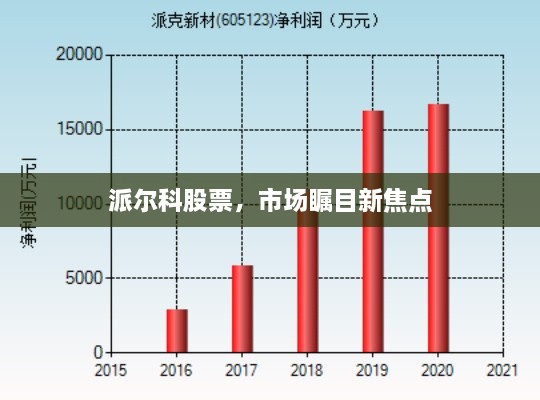 派爾科股票，市場矚目新焦點