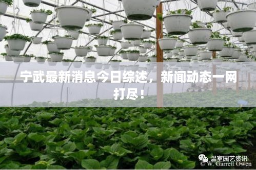 寧武最新消息今日綜述，新聞動(dòng)態(tài)一網(wǎng)打盡！