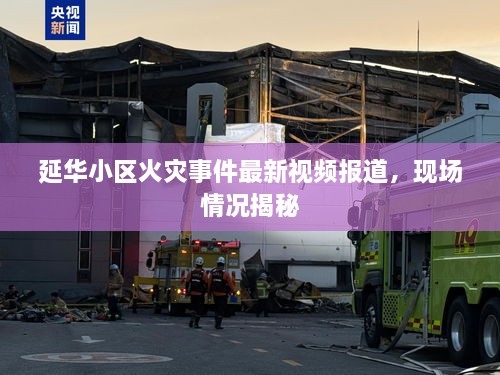 延華小區(qū)火災(zāi)事件最新視頻報道，現(xiàn)場情況揭秘