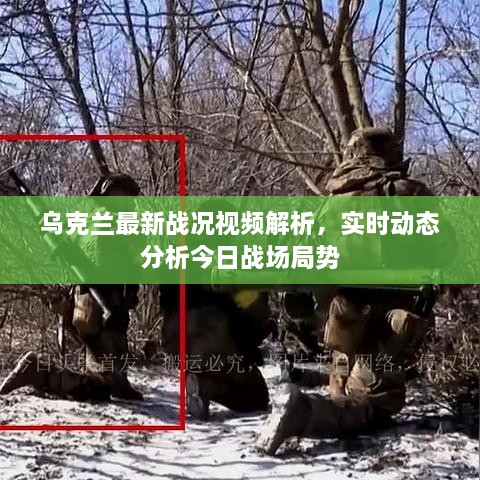 烏克蘭最新戰(zhàn)況視頻解析，實(shí)時動態(tài)分析今日戰(zhàn)場局勢
