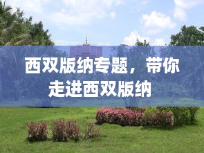 西雙版納專題，帶你走進(jìn)西雙版納 