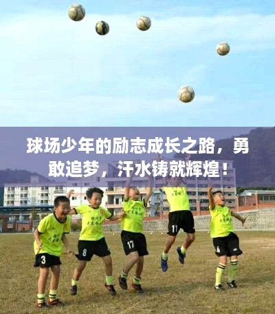 球場少年的勵(lì)志成長之路，勇敢追夢，汗水鑄就輝煌！