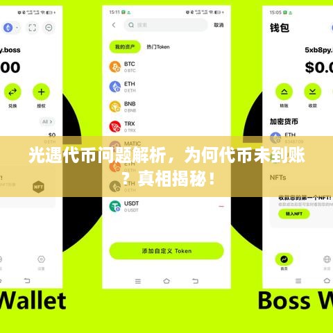 光遇代幣問(wèn)題解析，為何代幣未到賬？真相揭秘！