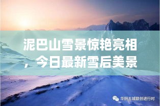 泥巴山雪景驚艷亮相，今日最新雪后美景報(bào)道！