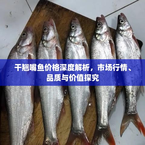 干翹嘴魚價格深度解析，市場行情、品質(zhì)與價值探究
