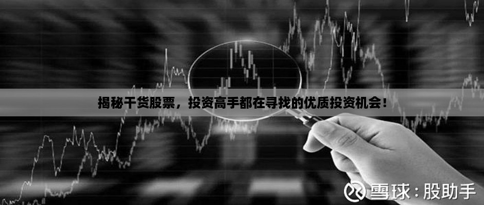 揭秘干貨股票，投資高手都在尋找的優(yōu)質(zhì)投資機(jī)會(huì)！