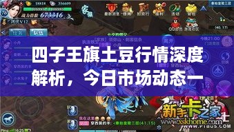 四子王旗土豆行情深度解析，今日市場動態(tài)一網(wǎng)打盡