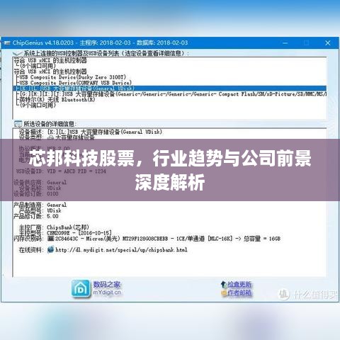芯邦科技股票，行業(yè)趨勢(shì)與公司前景深度解析