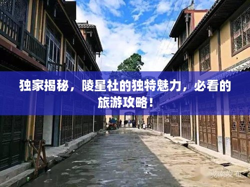 獨(dú)家揭秘，陵星社的獨(dú)特魅力，必看的旅游攻略！