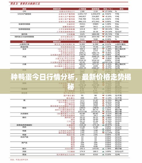 種鴨蛋今日行情分析，最新價(jià)格走勢(shì)揭秘