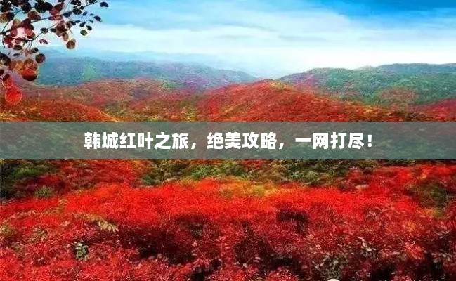 韓城紅葉之旅，絕美攻略，一網(wǎng)打盡！
