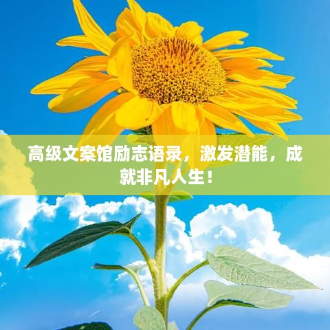 高級文案館勵志語錄，激發(fā)潛能，成就非凡人生！