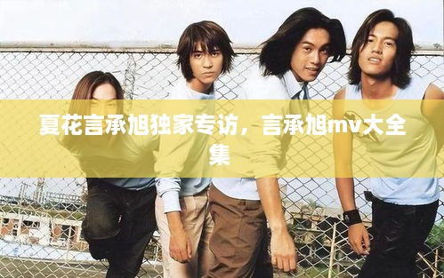夏花言承旭獨家專訪，言承旭mv大全集 