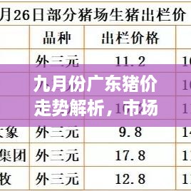 九月份廣東豬價走勢解析，市場行情、價格變動一網(wǎng)打盡