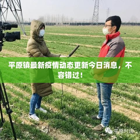 平原鎮(zhèn)最新疫情動態(tài)更新今日消息，不容錯過！
