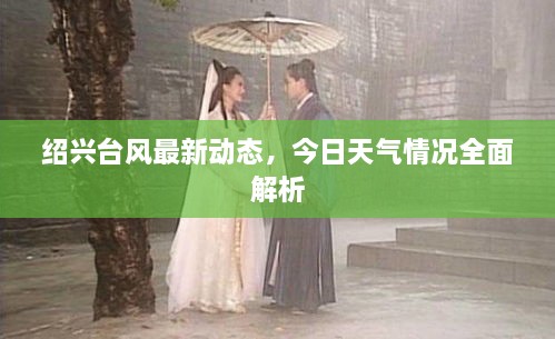 紹興臺風(fēng)最新動態(tài)，今日天氣情況全面解析