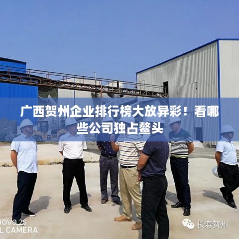 廣西賀州企業(yè)排行榜大放異彩！看哪些公司獨占鰲頭