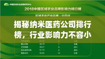 揭秘納米醫(yī)藥公司排行榜，行業(yè)影響力不容小覷！
