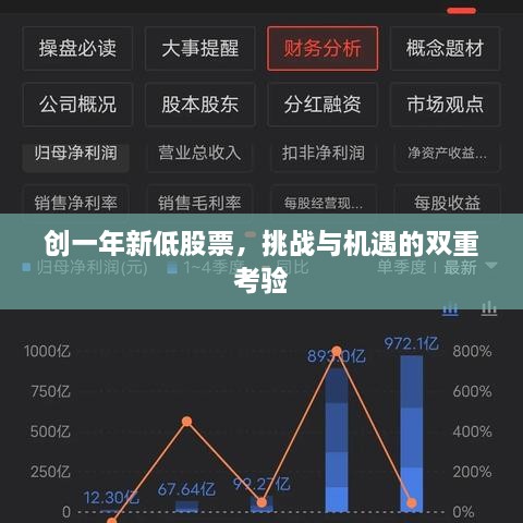 創(chuàng)一年新低股票，挑戰(zhàn)與機(jī)遇的雙重考驗