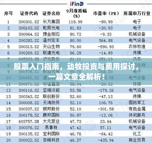 股票入門(mén)指南，動(dòng)牧投資與費(fèi)用探討，一篇文章全解析！