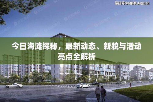 今日海灘探秘，最新動態(tài)、新貌與活動亮點全解析