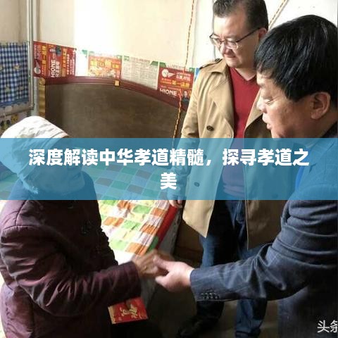 深度解讀中華孝道精髓，探尋孝道之美