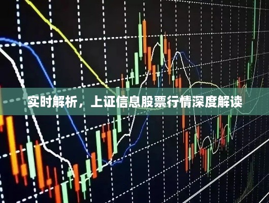 實時解析，上證信息股票行情深度解讀
