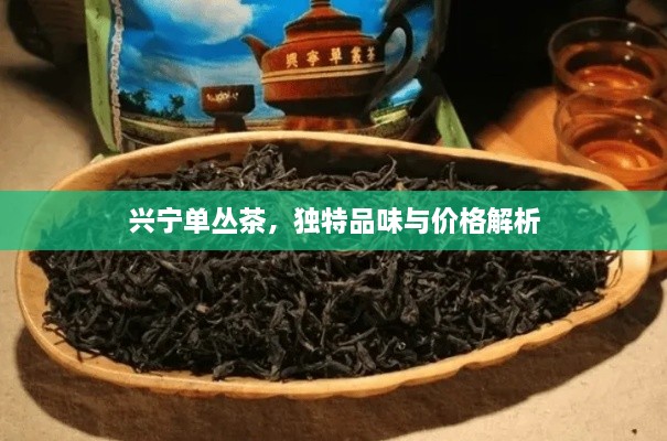 興寧單叢茶，獨特品味與價格解析