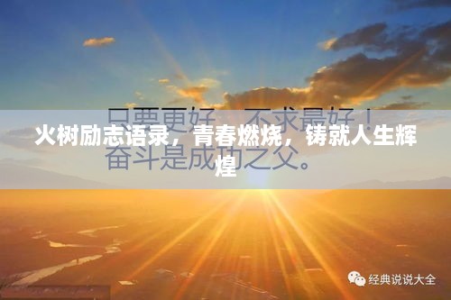 火樹(shù)勵(lì)志語(yǔ)錄，青春燃燒，鑄就人生輝煌