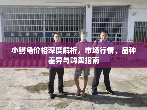 小鱷龜價(jià)格深度解析，市場(chǎng)行情、品種差異與購買指南