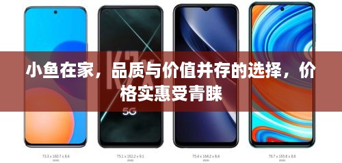 小魚在家，品質(zhì)與價(jià)值并存的選擇，價(jià)格實(shí)惠受青睞