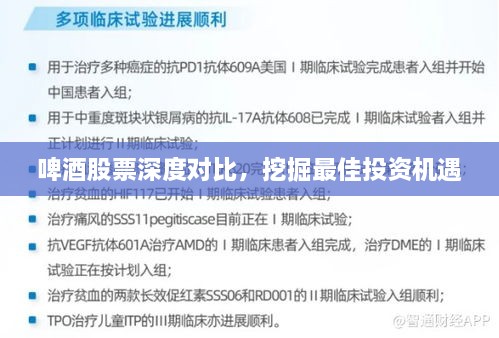 啤酒股票深度對(duì)比，挖掘最佳投資機(jī)遇
