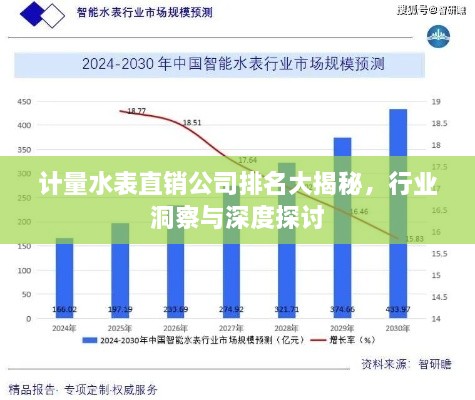計(jì)量水表直銷公司排名大揭秘，行業(yè)洞察與深度探討