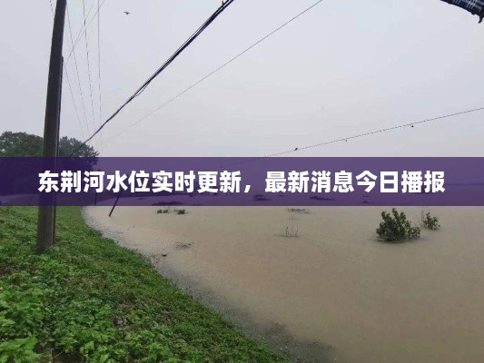 東荊河水位實時更新，最新消息今日播報