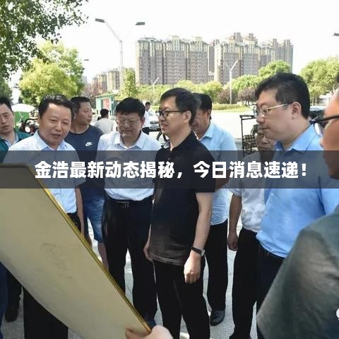 金浩最新動(dòng)態(tài)揭秘，今日消息速遞！