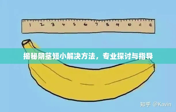 揭秘陰莖短小解決方法，專業(yè)探討與指導