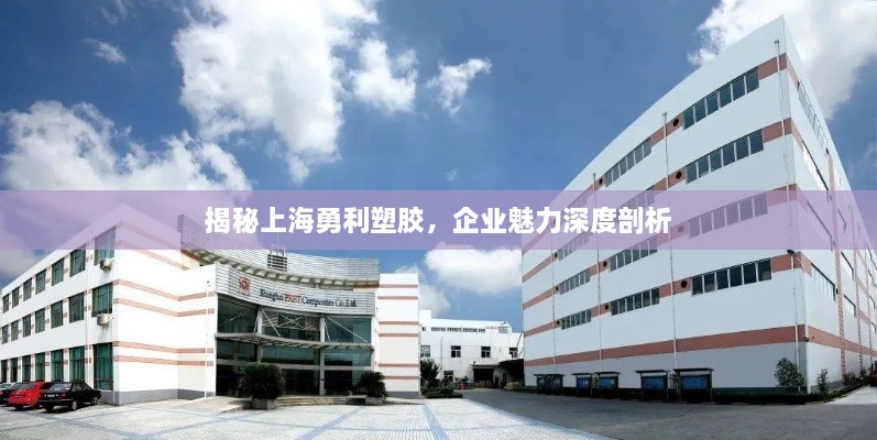 揭秘上海勇利塑膠，企業(yè)魅力深度剖析