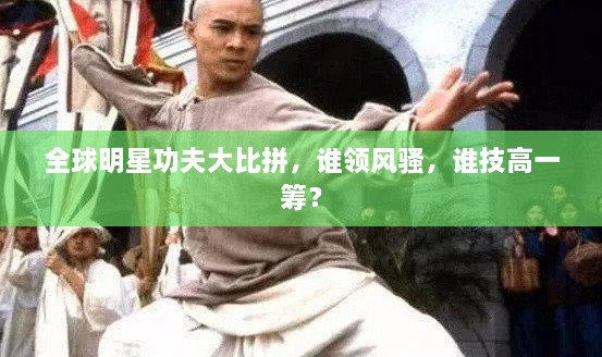 全球明星功夫大比拼，誰領(lǐng)風(fēng)騷，誰技高一籌？