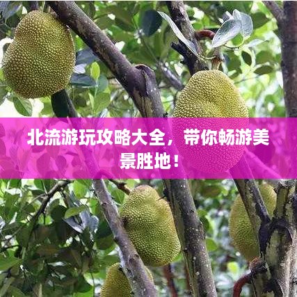 北流游玩攻略大全，帶你暢游美景勝地！