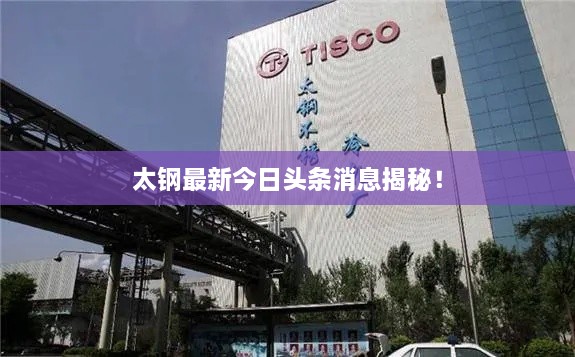 太鋼最新今日頭條消息揭秘！