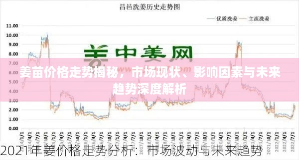 姜苗價(jià)格走勢(shì)揭秘，市場(chǎng)現(xiàn)狀、影響因素與未來(lái)趨勢(shì)深度解析