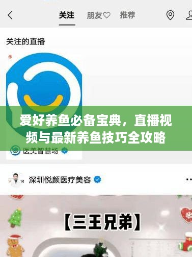 愛(ài)好養(yǎng)魚必備寶典，直播視頻與最新養(yǎng)魚技巧全攻略