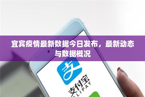 宜賓疫情最新數(shù)據(jù)今日發(fā)布，最新動態(tài)與數(shù)據(jù)概況