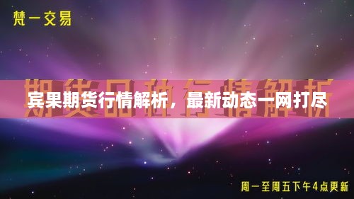 賓果期貨行情解析，最新動態(tài)一網(wǎng)打盡