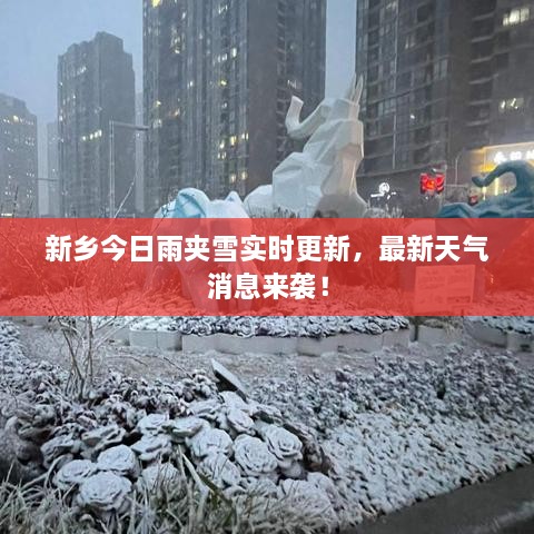 新鄉(xiāng)今日雨夾雪實時更新，最新天氣消息來襲！