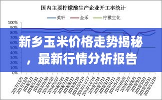 新鄉(xiāng)玉米價(jià)格走勢(shì)揭秘，最新行情分析報(bào)告