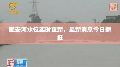 順安河水位實時更新，最新消息今日播報