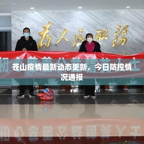 蒼山疫情最新動態(tài)更新，今日防控情況通報